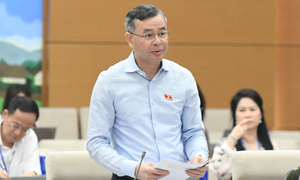 Đề xuất Chính phủ quy định ngưỡng doanh thu miễn thuế cho hộ kinh doanh