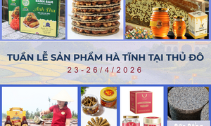 Nhiều đặc sản Hà Tĩnh sẽ có mặt tại Hà Nội