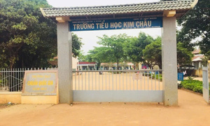 Chỉ đạo giả mạo chữ ký , một hiệu trưởng trường tiểu học ở Đắk Lắk bị cách chức