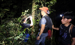 Từ ảnh gửi bạn gái, lực lượng quân đội 'cắt lớp' tìm vị trí nam sinh mất tích ở Tam Đảo