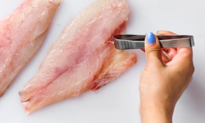 Vì sao người Mỹ chỉ ăn những loại cá không xương? 