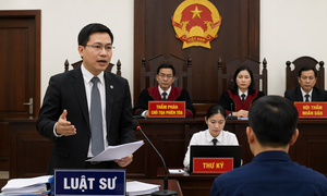 Nghị định 109: Không can thiệp hành nghề luật sư, chỉ xử lý vi phạm hành chính