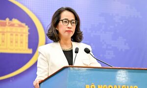 Việt Nam chủ động đa dạng hóa nguồn cung, bảo đảm an ninh nhiên liệu