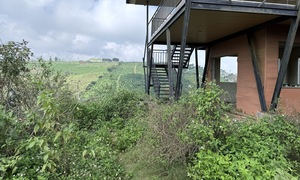 Chuyên gia nêu lý do đất nền phân lô bán cắt lỗ vẫn không có người mua