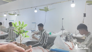 Đánh thức 'mầm thiện'