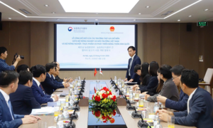 Thêm cơ hội cho thịt gà chế biến của Việt Nam tại thị trường Hàn Quốc