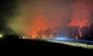 Gần 5ha rừng tràm ở An Giang cháy rừng rực hơn một ngày