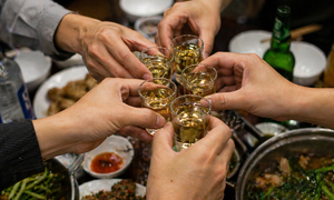 Bỏ qua cảnh báo khi uống rượu bia thường xuyên, nhiều người mắc viêm gan nặng