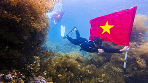 Du lịch Quy Nhơn, giới trẻ hào hứng check-in đáy biển cùng cờ Tổ quốc