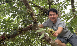 'Ông hoàng nhạc đỏ' mê làm nông, có nhà vườn rộng 4.000m²