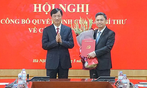 Trưởng Ban Tổ chức Thành ủy Hà Nội Hà Minh Hải giữ chức Phó trưởng Ban Tổ chức Trung ương
