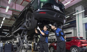 Chuyển từ xe xăng sang xe VinFast: 'Ít vào xưởng hơn, chi phí nhẹ hơn hẳn'