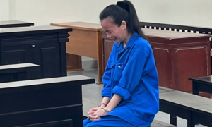 'Nữ quái' Hà Nội chiếm đoạt 26 tỷ đồng của người đàn ông bằng chiêu trò này