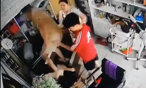 Công an Hà Nội vào cuộc vụ người phụ nữ ôm con nhỏ bị hành hung