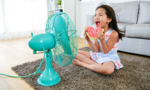 Mẹo làm mát nhà thông minh chỉ bằng quạt điện trong ngày 'nắng điên đảo'