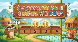 Tìm con gì 4 chữ cái, có 2 chữ O: Câu đố mẹo khiến nhiều người 'ngã ngửa'