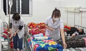 Học sinh nhập viện sau khi ăn quả lạ hái ven rừng, Bộ Y tế vào cuộc