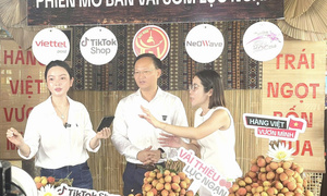 Phó Chủ tịch tỉnh Bắc Ninh livestream bán vải, chốt hơn 31 tấn đơn hàng