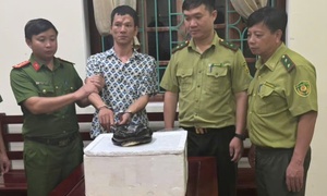 Mua rắn hổ chúa từ người lạ trên mạng, người đàn ông ở Ninh Bình bị khởi tố