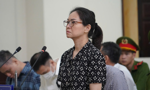 Cựu Cục trưởng An toàn thực phẩm Trần Việt Nga xin tòa giảm án cho chồng