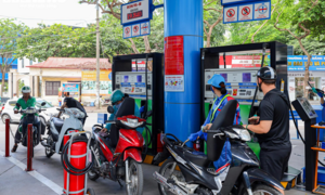 TP.HCM chưa ghi nhận phản ánh, khiếu nại nào về xăng E10