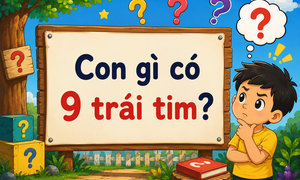 Con gì có 9 trái tim? đáp án thú vị khiến nhiều người bất ngờ
