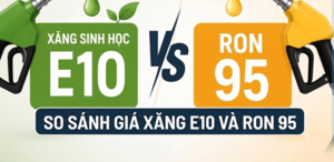 So sánh giá xăng E10 và RON95