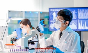 Bỏ dở bằng tiến sỹ, chàng trai dùng AI 'bóc' gian lận của nhiều học giả có tiếng