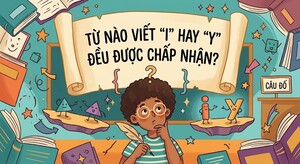 Từ nào viết 'i' hay 'y' đều được chấp nhận?