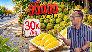 Giá sầu riêng Việt lao dốc, nguy cơ bị đối thủ vượt mặt ở thị trường Trung Quốc