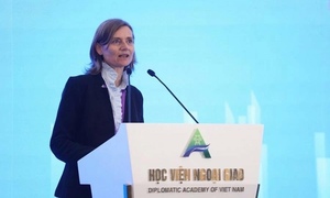 'Việt Nam đang có lộ trình tốt để đảm bảo an ninh năng lượng'