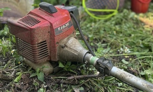Máy nông nghiệp cũ ‘kén’ xăng E10, nhà vườn tìm mua xăng E5