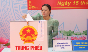 Infographic: 2.552 người trúng cử đại biểu HĐND cấp tỉnh nhiệm kỳ 2026-2031