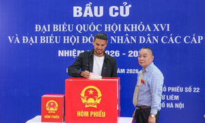 Infographic: Cơ cấu 500 người trúng cử đại biểu Quốc hội khóa XVI
