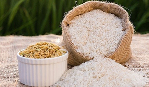 Giá lúa gạo hôm nay 16/6: Thị trường trong nước ổn định