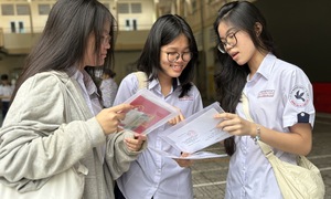 Link tra cứu điểm thi vào lớp 10 TP.HCM năm 2026