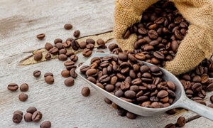 Giá cà phê hôm nay 20/6/2026: Robusta bất ngờ giảm