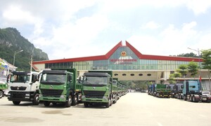 Lạng Sơn: Đẩy mạnh chuyển đổi số, nâng cao hiệu quả kiểm dịch y tế tại cửa khẩu