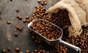Giá cà phê hôm nay 3/7/2026: Arabica quay đầu giảm 