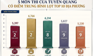 Tuyên Quang có 5 môn lọt top 10 địa phương điểm trung bình cao nhất cả nước