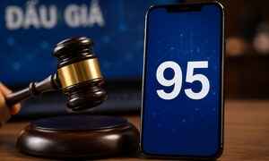 Đấu giá đầu số 095: Thu về hơn 252 tỷ đồng, gấp 101 lần giá khởi điểm