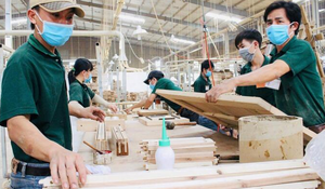Chuyên gia: Nghị quyết 10 là bước chuyển tư duy sang công nghệ cao