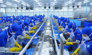 Niềm tin doanh nghiệp châu Âu vào Việt Nam tăng mạnh