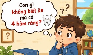 Con gì không biết ăn mà có 4 hàm răng?