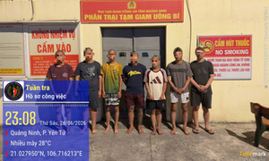 Bắt 7 nghi phạm cướp tài sản, gây rối trật tự công cộng ở Quảng Ninh