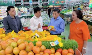Người tiêu dùng TP.HCM có thêm ‘lá chắn’ nhận diện thực phẩm an toàn