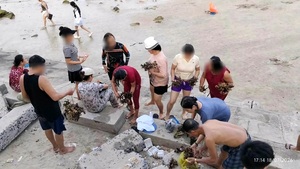 Dù có biển cấm, nhóm du khách vẫn bẻ, nhặt san hô ở Hòn Chồng mang về