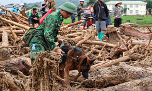 'Chiến binh 4 chân' từng tìm kiếm người ở Làng Nủ, nay vào Mường Than cứu nạn