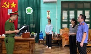Khởi tố, bắt tạm giam Chủ tịch Công ty Cổ phần sản xuất phân bón Hà Bắc