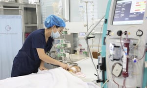 Bé trai 15 tháng tuổi nguy kịch sau khi bị ong vò vẽ đốt 60 nốt
